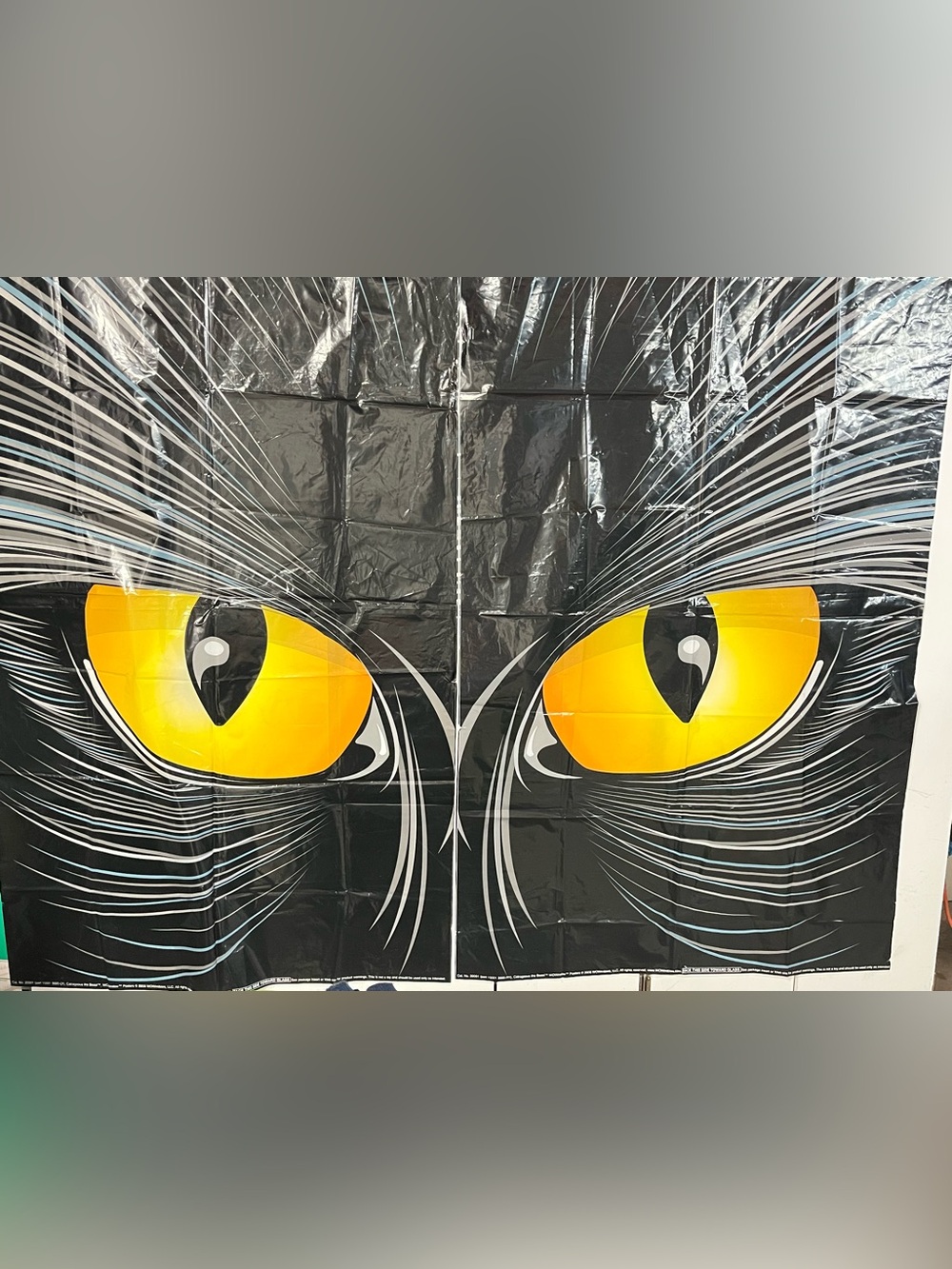 Spirit Halloween Big Black Cat Eyes Window Poster Decoration - 2pc Backdrop